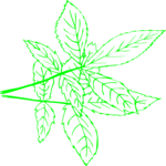 Leaves 90 Clip Art