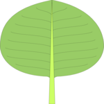 Leaf 009