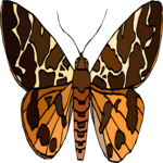 Moth 09 Clip Art
