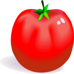 Tomato 20