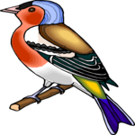 Bird Perched 43 Clip Art