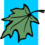 Leaf 016 Clip Art