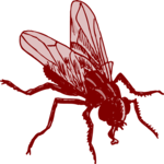 Fly 13 Clip Art