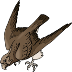 Falcon 08 Clip Art