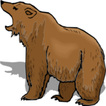 Bear 19