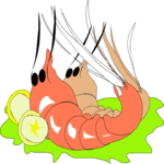 Shrimp 10