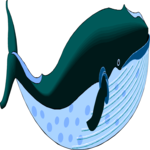 Whale 08