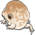 Australian Burrowing Frog