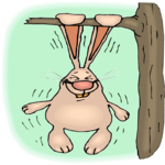 Rabbit - Ear Pull-ups Clip Art