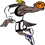 Basketball - Eagle 2