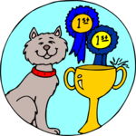 Cat - 1st Place