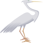 Egret 3 Clip Art