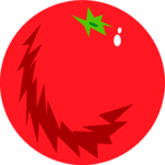 Tomato 09