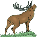 Elk 6 Clip Art