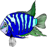 Convict Cichlid 1 Clip Art
