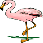 Flamingo 15