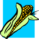 Corn 05