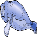 Manatee 5 Clip Art