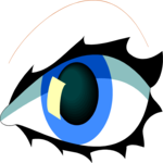 Eye 13