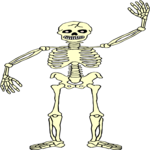 Skeleton 16 Clip Art