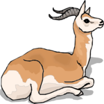 Antelope 34 Clip Art