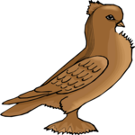 Pigeon 15 Clip Art