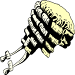 Judicial Wig