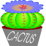 Cactus with Flower 1