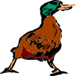 Duck - Mallard 1 Clip Art