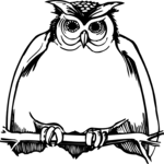 Owl 03 Clip Art