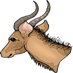 Antelope 13 Clip Art