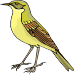 Bird 179 Clip Art