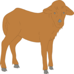 Calf 2 Clip Art