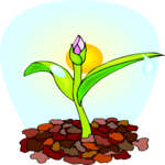 Flower Sprouting Clip Art