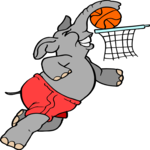 Basketball - Elephant