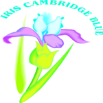 Iris Cambridge Blue