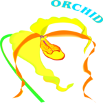 Orchid 4