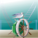 Seagull 17 Clip Art