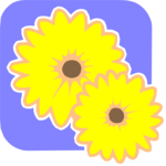 Flowers 016