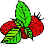 Strawberries 10