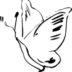 Butterfly 1