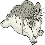 Seal 12 Clip Art