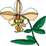 Flower 457 Clip Art