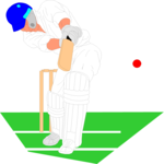 Cricket - Player 02