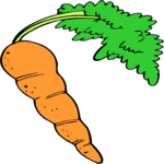 Carrot 29 Clip Art