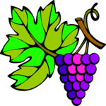 Grapes 40