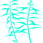 Reeds 03