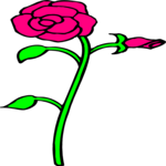 Rose 83