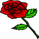 Rose 58