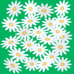 Daisies Background Clip Art